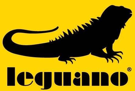 A black and yellow logo of iguana