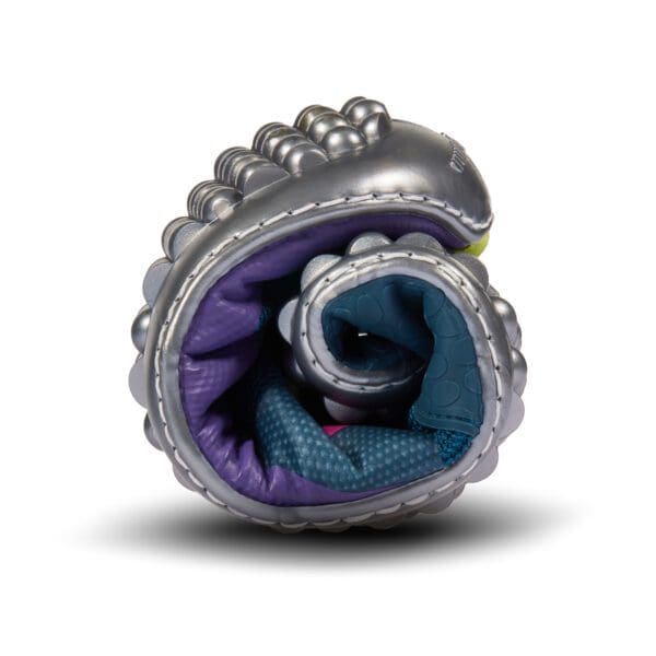 A silver shell with purple and blue fabric inside.